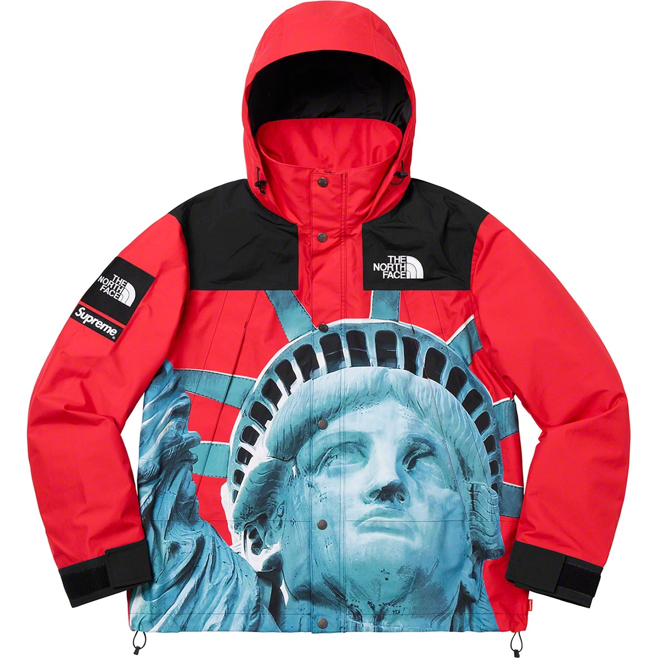 Supreme®/The North Face® Statue of Liberty Mountain Jacket view 2